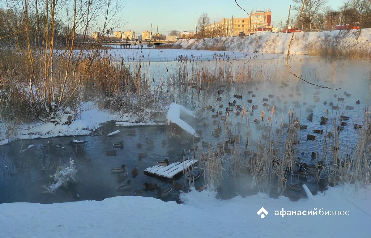 В Твери похолодает, но ненадолго