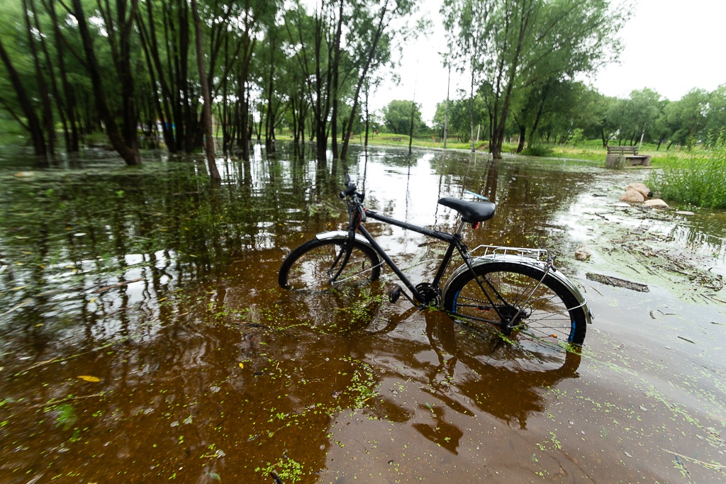 Июль 2020. Ландшафтный парк в Твери затопило