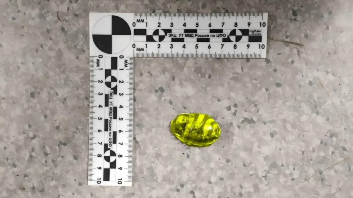 Житель Тверской области чуть не умер, попытавшись съесть наркотик при задержании Фото: Пресс-служба УТ МВД России по ЦФО