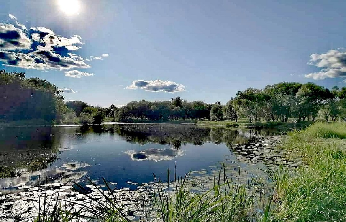 Сегодня в Твери жарко, но с грозами Фото: архив Afanasy.biz