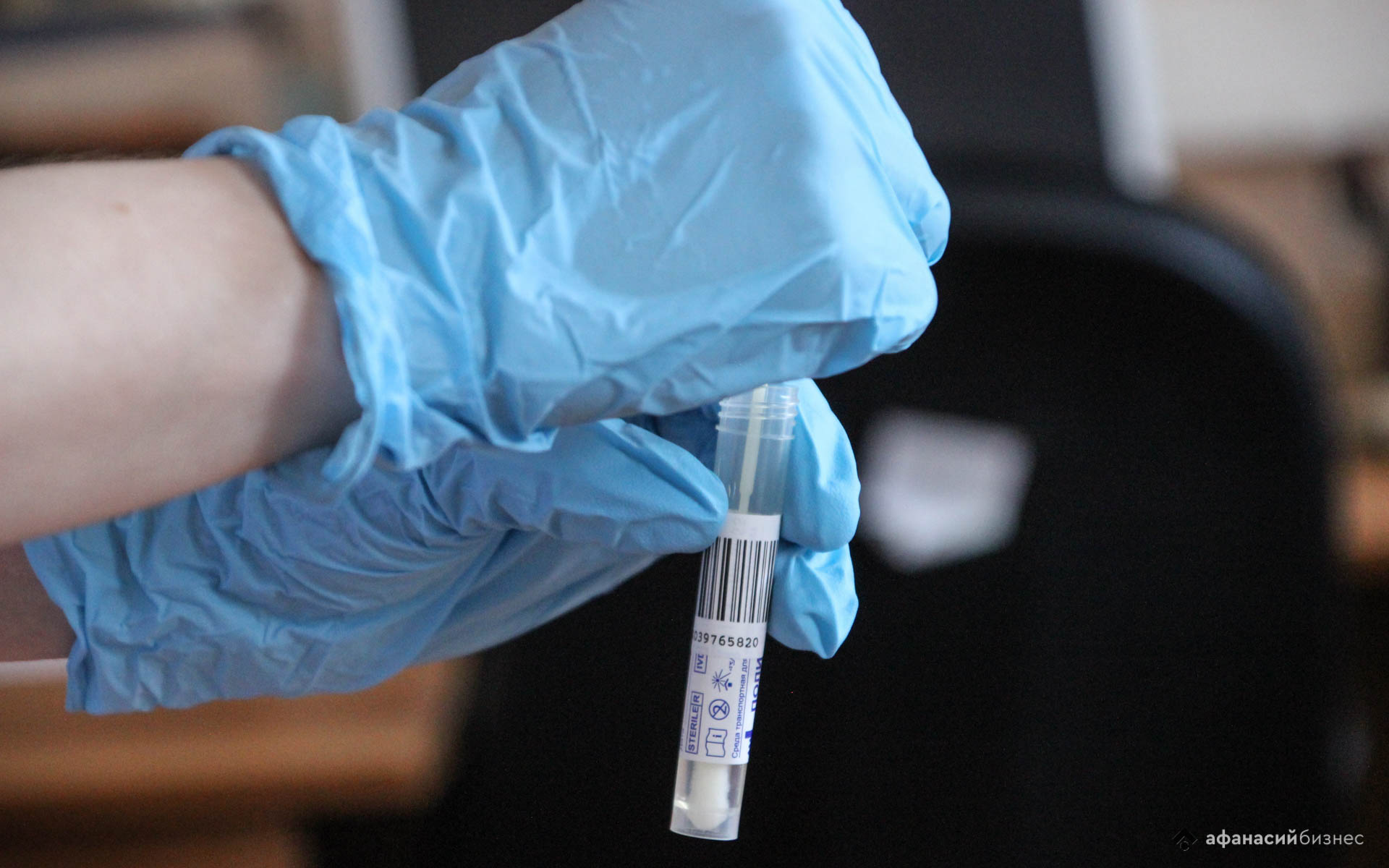 В России выявлен первый случай заболевания, передающегося через укус комаров - новости Афанасий