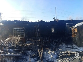 Два человека погибли на пожаре в Нелидово - новости Афанасий