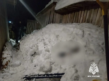 В Тверской области женщину завалило снегом насмерть - новости Афанасий